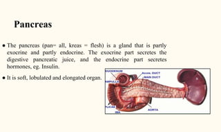Pancreas
● The pancreas (pan= all, kreas = flesh) is a gland that is partly
exocrine and partly endocrine. The exocrine part secretes the
digestive pancreatic juice, and the endocrine part secretes
hormones, eg. Insulin.
● It is soft, lobulated and elongated organ.
 