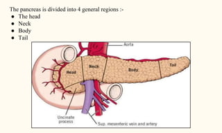 The pancreas is divided into 4 general regions :-
● The head
● Neck
● Body
● Tail
 