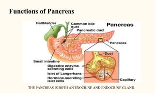 Functions of Pancreas
THE PANCREAS IS BOTH AN EXOCRINE AND ENDOCRINE GLAND.
 
