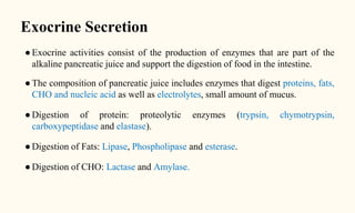 Exocrine Secretion
● Exocrine activities consist of the production of enzymes that are part of the
alkaline pancreatic juice and support the digestion of food in the intestine.
● The composition of pancreatic juice includes enzymes that digest proteins, fats,
CHO and nucleic acid as well as electrolytes, small amount of mucus.
● Digestion of protein: proteolytic enzymes (trypsin, chymotrypsin,
carboxypeptidase and elastase).
● Digestion of Fats: Lipase, Phospholipase and esterase.
● Digestion of CHO: Lactase and Amylase.
 