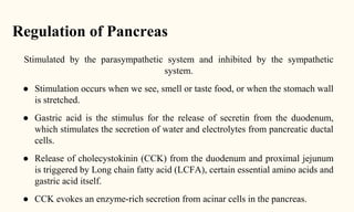 Regulation of Pancreas
Stimulated by the parasympathetic system and inhibited by the sympathetic
system.
● Stimulation occurs when we see, smell or taste food, or when the stomach wall
is stretched.
● Gastric acid is the stimulus for the release of secretin from the duodenum,
which stimulates the secretion of water and electrolytes from pancreatic ductal
cells.
● Release of cholecystokinin (CCK) from the duodenum and proximal jejunum
is triggered by Long chain fatty acid (LCFA), certain essential amino acids and
gastric acid itself.
● CCK evokes an enzyme-rich secretion from acinar cells in the pancreas.
 
