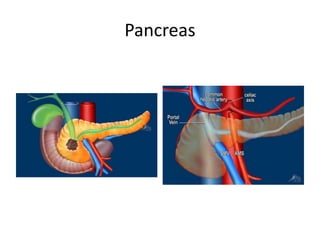 Acute pancreatitis.ppt