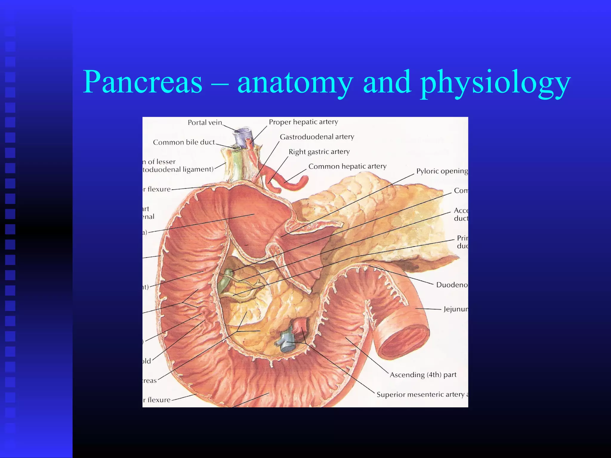 Acute pancreatitis and Pancreatic Carcinoma | PPT