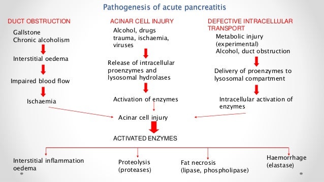 acute pancreatitis Pancreatitis is inflammation of the pancreas the pancreas is a large gland behind the stomach and close to the duodenum—the first part of the small intestine. acute pancreatitis Pancreatitis is inflammation of the pancreas the pancreas is a large gland behind the stomach and close to the duodenum—the first part of the small intestine.