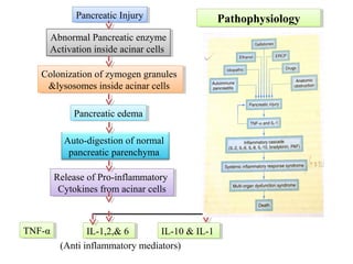 Pancreatic InjuryPancreatic Injury
Abnormal Pancreatic enzyme
Activation inside acinar cells
Abnormal Pancreatic enzyme
Activation inside acinar cells
Colonization of zymogen granules
&lysosomes inside acinar cells
Colonization of zymogen granules
&lysosomes inside acinar cells
Pancreatic edemaPancreatic edema
Auto-digestion of normal
pancreatic parenchyma
Release of Pro-inflammatory
Cytokines from acinar cells
Release of Pro-inflammatory
Cytokines from acinar cells
TNF-αTNF-α IL-1,2,& 6IL-1,2,& 6 IL-10 & IL-1IL-10 & IL-1
(Anti inflammatory mediators)
PathophysiologyPathophysiology
 