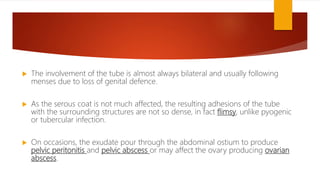  The involvement of the tube is almost always bilateral and usually following
menses due to loss of genital defence.
 As the serous coat is not much affected, the resulting adhesions of the tube
with the surrounding structures are not so dense, in fact flimsy, unlike pyogenic
or tubercular infection.
 On occasions, the exudate pour through the abdominal ostium to produce
pelvic peritonitis and pelvic abscess or may affect the ovary producing ovarian
abscess.
 
