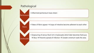 Pathological
Peritoneum
• Inflammed peritoneum loses sheen
Fibrin
• Flakes of fibrin appear  loops of intestine become adherent to each other
Leukocytes
• Outpouring of serous fluid rich in leukocytes which later becomes frank pus
 Ileus  Prevents spread of infection  Greater omentum seals the area.
 
