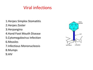 Viral infections 
1.Herpes Simplex Stomatitis 
2.Herpes Zoster 
3.Herpangina 
4.Hand Foot Mouth Disease 
5.Cytomegalovirus Infection 
6.Measles 
7.Infectious Mononucleosis 
8.Mumps 
9.HIV 
 