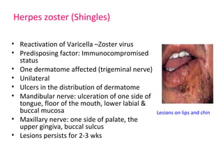 Herpes zoster (Shingles) 
• Reactivation of Varicella –Zoster virus 
• Predisposing factor: Immunocompromised 
status 
• One dermatome affected (trigeminal nerve) 
• Unilateral 
• Ulcers in the distribution of dermatome 
• Mandibular nerve: ulceration of one side of 
tongue, floor of the mouth, lower labial & 
buccal mucosa 
• Maxillary nerve: one side of palate, the 
upper gingiva, buccal sulcus 
• Lesions persists for 2-3 wks 
Lesions on lips and chin 
 