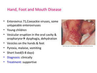 Hand, Foot and Mouth Disease 
• Enterovirus 71,Coxsackie viruses, some 
untypeable enteroviruses 
• Young children 
• Vesicular eruption in the oral cavity & 
oropharynx dysphagia, dehydration 
• Vesicles on the hands & feet 
• Pyrexia, malaise, vomiting 
• Short lived(5-8 days) 
• Diagnosis: clinically 
• Treatment: supportive 
 