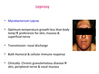 Leprosy 
• Mycobacterium Leprae 
• Optimum temperature growth-less than body 
temp preference for skin, mucosa & 
superficial nerve 
• Transmission- nasal discharge 
• Both Humoral & cellular immune response 
• Clinically- Chronic granulomatous disease 
skin, peripheral nerve & nasal mucosa 
 