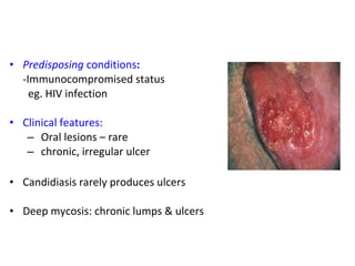 • Predisposing conditions: 
-Immunocompromised status 
eg. HIV infection 
• Clinical features: 
– Oral lesions – rare 
– chronic, irregular ulcer 
• Candidiasis rarely produces ulcers 
• Deep mycosis: chronic lumps & ulcers 
 