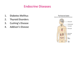 Endocrine Diseases 
1. Diabetes Mellitus 
2. Thyroid Disorders 
3. Cushing’s Disease 
4. Addison’s Disease 
 