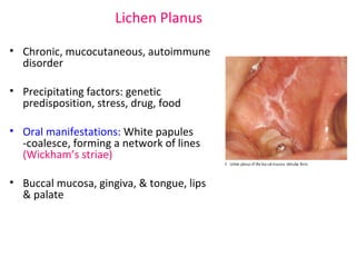 Lichen Planus 
• Chronic, mucocutaneous, autoimmune 
disorder 
• Precipitating factors: genetic 
predisposition, stress, drug, food 
• Oral manifestations: White papules 
-coalesce, forming a network of lines 
(Wickham’s striae) 
• Buccal mucosa, gingiva, & tongue, lips 
& palate 
 