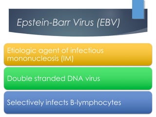 Epstein-Barr Virus (EBV)
 