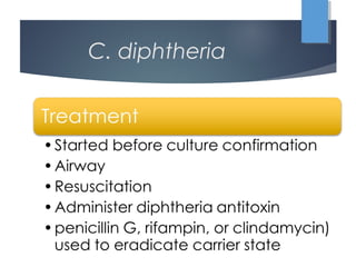 C. diphtheria
 