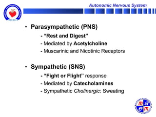 Autonomic Nervous System




• Parasympathetic (PNS)
    - “Rest and Digest”
    - Mediated by Acetylcholine
    - Muscarinic and Nicotinic Receptors


• Sympathetic (SNS)
    - “Fight or Flight” response
    - Mediated by Catecholamines
    - Sympathetic Cholinergic: Sweating
 