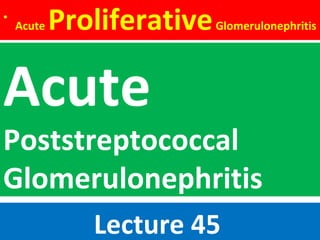 •
Acute ProliferativeGlomerulonephritis
Lecture 45
Acute
Poststreptococcal
Glomerulonephritis
 