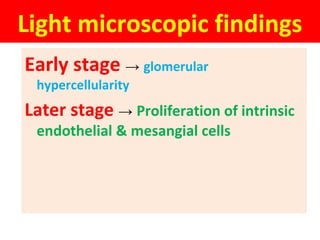 Light microscopic findings
Early stage → glomerular
hypercellularity
Later stage → Proliferation of intrinsic
endothelial & mesangial cells
 