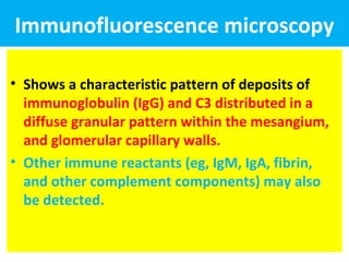 Immunofluorescence microscopy
• Shows a characteristic pattern of deposits of
immunoglobulin (IgG) and C3 distributed in a
diffuse granular pattern within the mesangium,
and glomerular capillary walls.
• Other immune reactants (eg, IgM, IgA, fibrin,
and other complement components) may also
be detected.
 