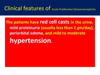 Clinical features of Acute Proliferative Glomerulonephritis
The patients have red cell casts in the urine,
mild proteinuria (usually less than 1 gm/day),
periorbital edema, and mild to moderate
hypertension.
 