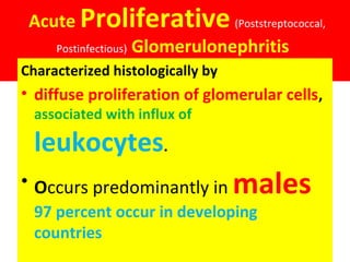 Acute Proliferative (Poststreptococcal,
Postinfectious) Glomerulonephritis
Characterized histologically by
• diffuse proliferation of glomerular cells,
associated with influx of
leukocytes.
• Occurs predominantly in males
97 percent occur in developing
countries
 