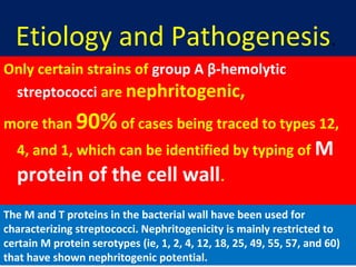 Etiology and Pathogenesis.
Only certain strains of group A β-hemolytic
streptococci are nephritogenic,
more than 90% of cases being traced to types 12,
4, and 1, which can be identified by typing of M
protein of the cell wall.
The M and T proteins in the bacterial wall have been used for
characterizing streptococci. Nephritogenicity is mainly restricted to
certain M protein serotypes (ie, 1, 2, 4, 12, 18, 25, 49, 55, 57, and 60)
that have shown nephritogenic potential.
 