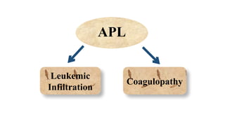 APL
Leukemic
Infiltration
Coagulopathy
 
