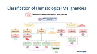 Classification of Hematological Malignancies
 
