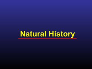 Natural History
 