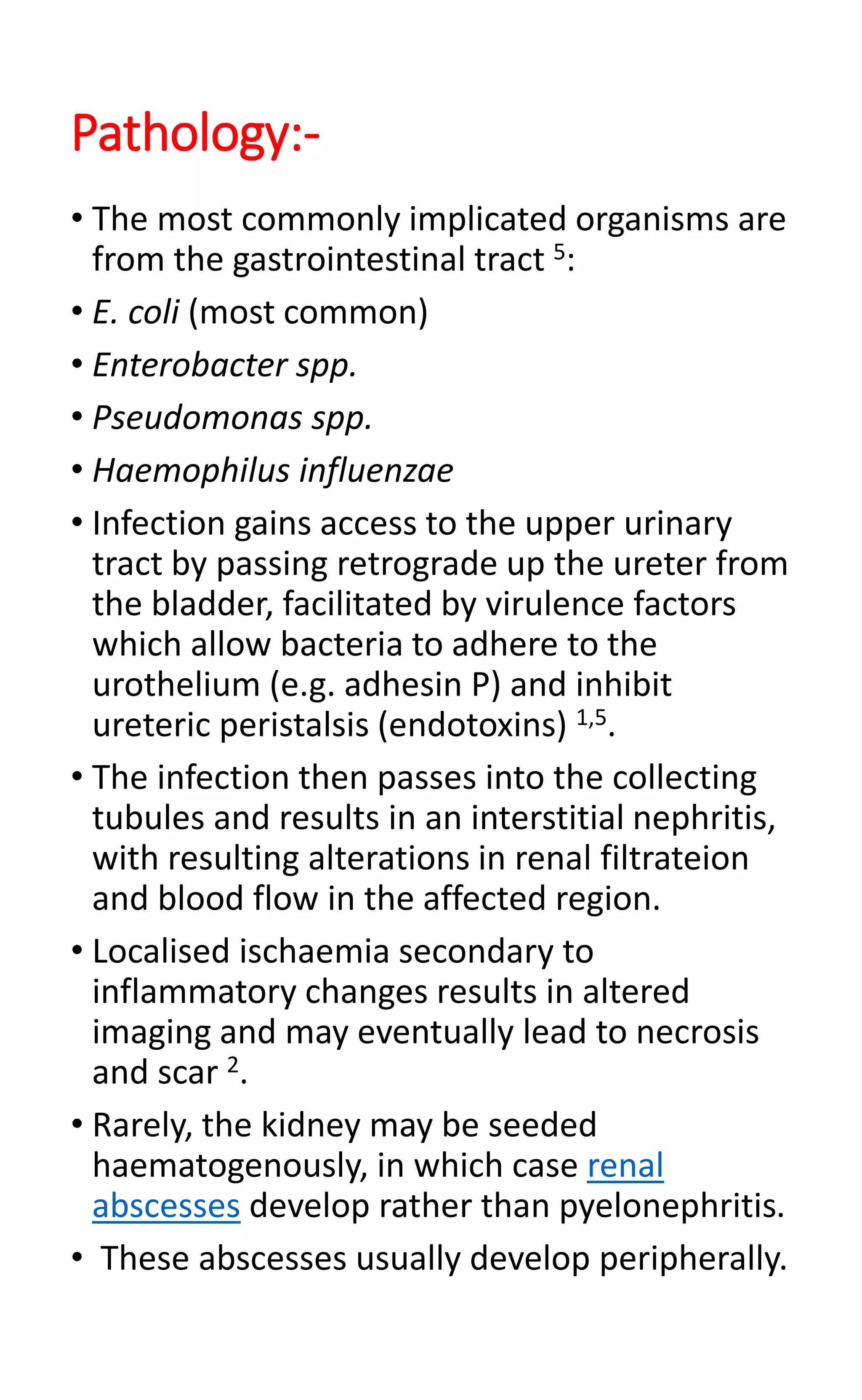 Pathology:-
• The most commonly implicated organisms are
from the gastrointestinal tract 5:
• E. coli (most common)
• Enterobacter spp.
• Pseudomonas spp.
• Haemophilus influenzae
• Infection gains access to the upper urinary
tract by passing retrograde up the ureter from
the bladder, facilitated by virulence factors
which allow bacteria to adhere to the
urothelium (e.g. adhesin P) and inhibit
ureteric peristalsis (endotoxins) 1,5.
• The infection then passes into the collecting
tubules and results in an interstitial nephritis,
with resulting alterations in renal filtrateion
and blood flow in the affected region.
• Localised ischaemia secondary to
inflammatory changes results in altered
imaging and may eventually lead to necrosis
and scar 2.
• Rarely, the kidney may be seeded
haematogenously, in which case renal
abscesses develop rather than pyelonephritis.
• These abscesses usually develop peripherally.
 