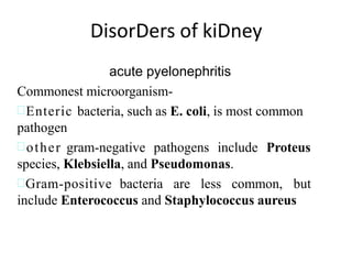 DisorDers of kiDney
acute pyelonephritis
Commonest microorganism-
Enteric bacteria, such as E. coli, is most common
pathogen
other gram-negative pathogens include Proteus
species, Klebsiella, and Pseudomonas.
Gram-positive bacteria are less common, but
include Enterococcus and Staphylococcus aureus
 