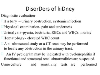 DisorDers of kiDney
Diagnostic evaluation-
History – urinary obstruction, systemicinfection
Physical examination- pain and tenderness
Urinalysis-pyuria, bactriuria, RBCs and WBCs in urine
Hematology- elevated WBC count
 A n ultrasound study or a CT scan may be performed
to locate any obstruction in the urinary tract.
 An IV pyelogram may be indicated with pyelonephritis if
functional and structural renal abnormalities are suspected.
Urine culture and sensitivity tests are performed
 