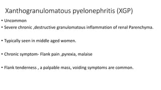 Xanthogranulomatous pyelonephritis (XGP)
• Uncommon
• Severe chronic ,destructive granulomatous inflammation of renal Parenchyma.
• Typically seen in middle aged women.
• Chronic symptom- Flank pain ,pyrexia, malaise
• Flank tenderness , a palpable mass, voiding symptoms are common.
 