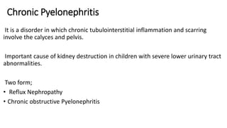 Chronic Pyelonephritis
It is a disorder in which chronic tubulointerstitial inflammation and scarring
involve the calyces and pelvis.
Important cause of kidney destruction in children with severe lower urinary tract
abnormalities.
Two form;
• Reflux Nephropathy
• Chronic obstructive Pyelonephritis
 