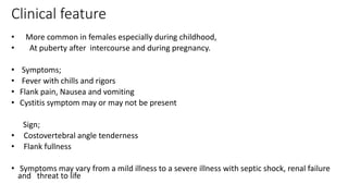 Clinical feature
• More common in females especially during childhood,
• At puberty after intercourse and during pregnancy.
• Symptoms;
• Fever with chills and rigors
• Flank pain, Nausea and vomiting
• Cystitis symptom may or may not be present
Sign;
• Costovertebral angle tenderness
• Flank fullness
• Symptoms may vary from a mild illness to a severe illness with septic shock, renal failure
and threat to life
 