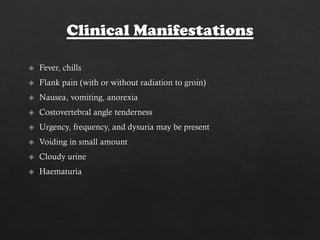 Acute pyelonephritis ppt