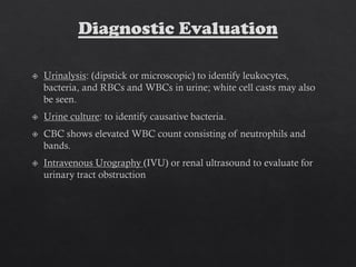 Acute pyelonephritis ppt