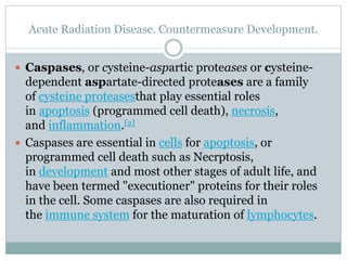 Acute Radiation Disease. Countermeasure Development.
 Caspases, or cysteine-aspartic proteases or cysteine-
dependent aspartate-directed proteases are a family
of cysteine proteasesthat play essential roles
in apoptosis (programmed cell death), necrosis,
and inflammation.[2]
 Caspases are essential in cells for apoptosis, or
programmed cell death such as Necrptosis,
in development and most other stages of adult life, and
have been termed "executioner" proteins for their roles
in the cell. Some caspases are also required in
the immune system for the maturation of lymphocytes.
 