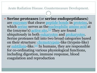 Acute Radiation Disease. Countermeasure Development.
 Serine proteases (or serine endopeptidases)
are enzymes that cleave peptide bonds in proteins, in
which serine serves as thenucleophilic amino acid at
the (enzyme's) active site.[1] They are found
ubiquitously in both eukaryotes and prokaryotes.
Serine proteases fall into two broad categories based
on their structure: chymotrypsin-like (trypsin-like)
or subtilisin-like.[2] In humans, they are responsible
for co-ordinating various physiological functions,
including digestion, immune response, blood
coagulation and reproduction
 