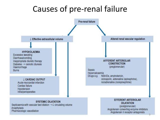 Acute renal disease | PPTX