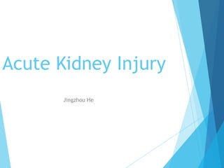 Acute Kidney Injury
Jingzhou He

 