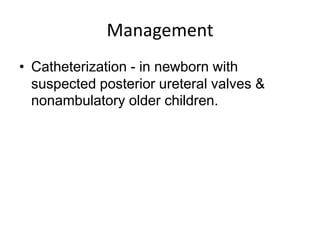 Management
• Catheterization - in newborn with
suspected posterior ureteral valves &
nonambulatory older children.

 