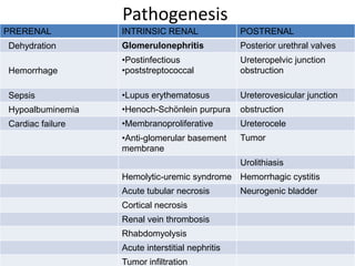 Pathogenesis
PRERENAL

INTRINSIC RENAL

POSTRENAL

Dehydration

Glomerulonephritis

Posterior urethral valves

Hemorrhage

•Postinfectious
•poststreptococcal

Ureteropelvic junction
obstruction

Sepsis

•Lupus erythematosus

Ureterovesicular junction

Hypoalbuminemia

•Henoch-Schönlein purpura

obstruction

Cardiac failure

•Membranoproliferative

Ureterocele

•Anti-glomerular basement
membrane

Tumor
Urolithiasis

Hemolytic-uremic syndrome Hemorrhagic cystitis

Acute tubular necrosis
Cortical necrosis
Renal vein thrombosis
Rhabdomyolysis

Acute interstitial nephritis
Tumor infiltration

Neurogenic bladder

 