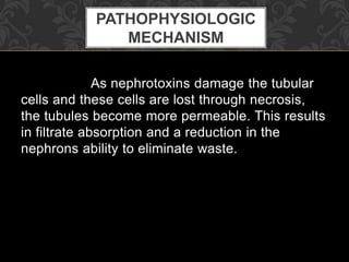 As nephrotoxins damage the tubular
cells and these cells are lost through necrosis,
the tubules become more permeable. This results
in filtrate absorption and a reduction in the
nephrons ability to eliminate waste.
PATHOPHYSIOLOGIC
MECHANISM
 