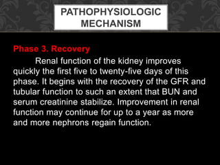 Phase 3. Recovery
Renal function of the kidney improves
quickly the first five to twenty-five days of this
phase. It begins with the recovery of the GFR and
tubular function to such an extent that BUN and
serum creatinine stabilize. Improvement in renal
function may continue for up to a year as more
and more nephrons regain function.
PATHOPHYSIOLOGIC
MECHANISM
 