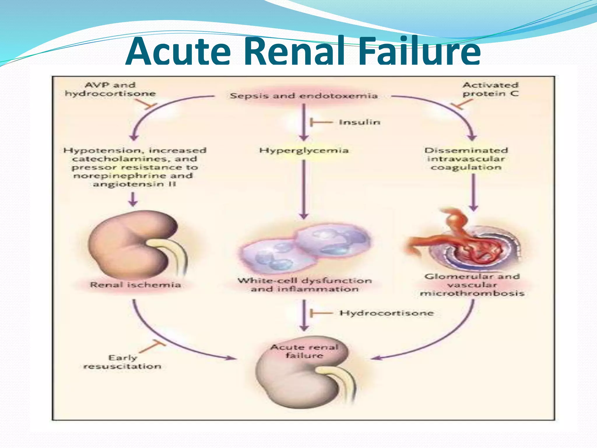 acute-renal-failure-ppt
