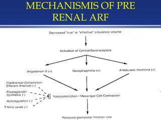 MECHANISMIS OF PRE
RENAL ARF
 
