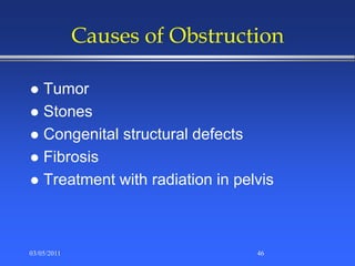 Causes of Obstruction
 Tumor
 Stones
 Congenital structural defects
 Fibrosis
 Treatment with radiation in pelvis
03/05/2011 46
 