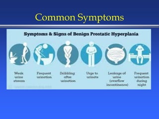 Common Symptoms
 